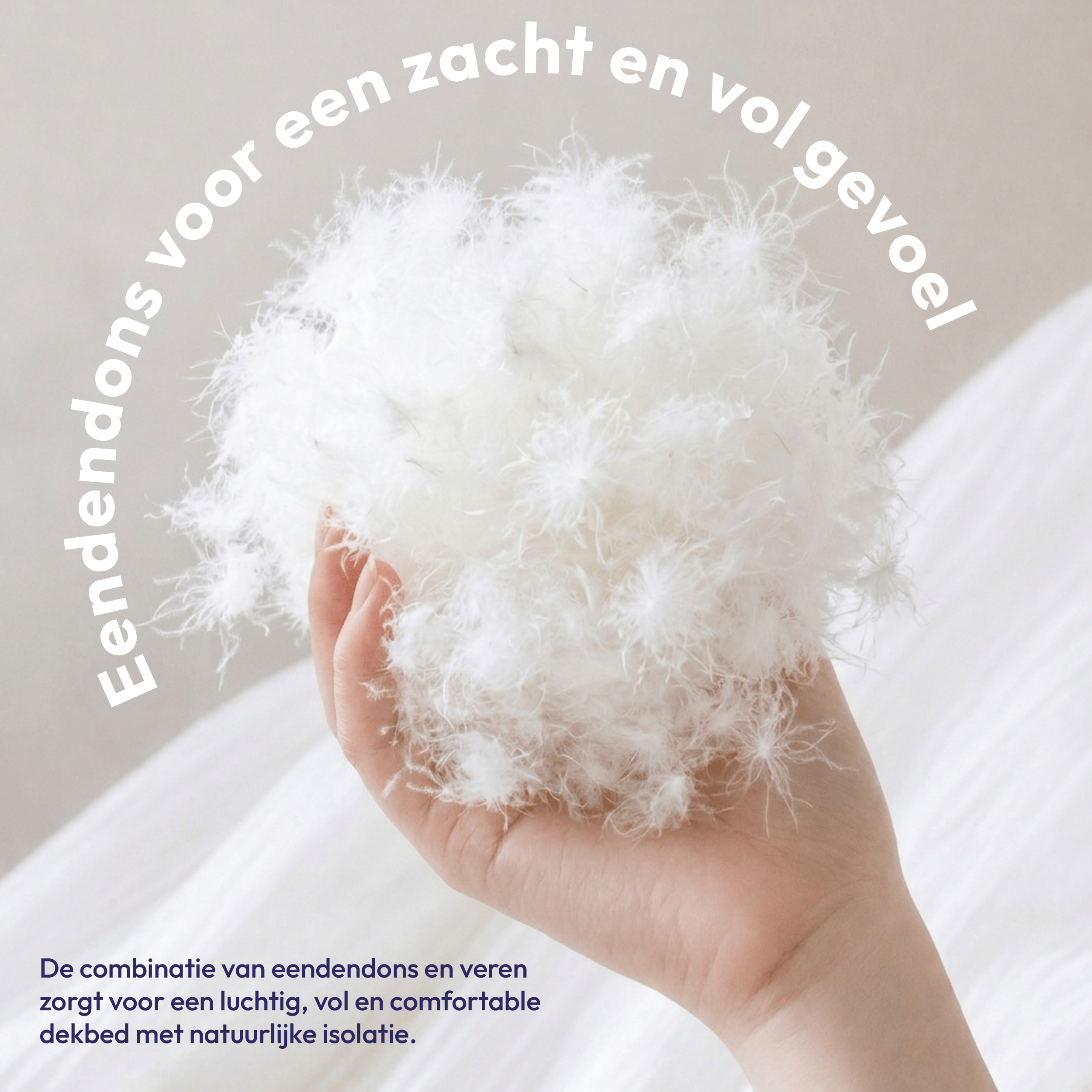 Comfeur eendendons winter dekbed – Dons & veren