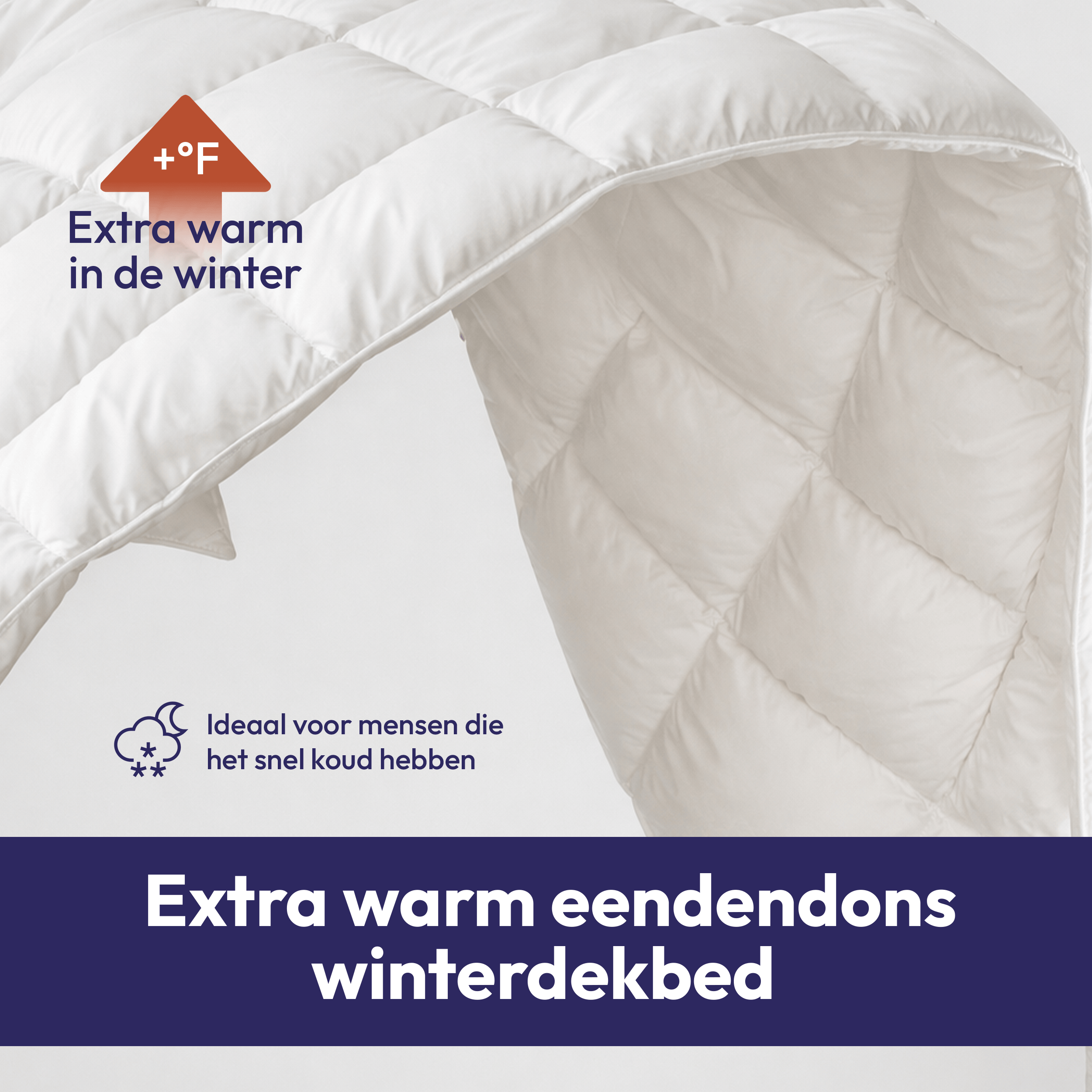 Comfeur eendendons winter dekbed – Dons & veren